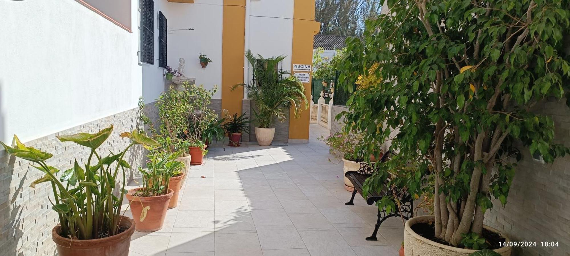Paraiso Playa Hotel 이슬라크리스티나 외부 사진